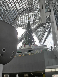 sCIMG0953.jpg
