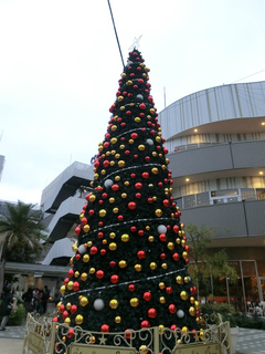 sCIMG0983.jpg