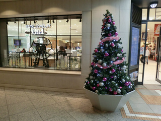sCIMG1075.jpg