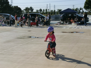 scimg0767.jpg