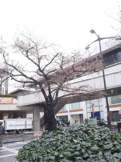 20180322.jpg