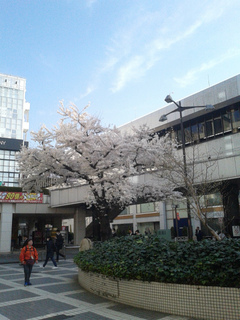 20180327.jpg