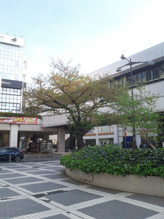 20180405.jpg
