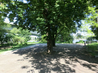 CIMG0116.jpg