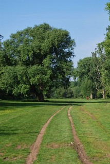 DSC_2321.jpg