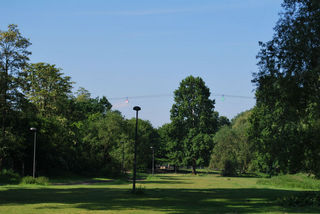 DSC_2324.jpg