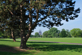 DSC_2328.jpg