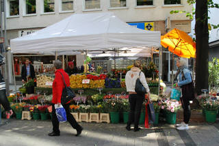 DSC_2383.jpg