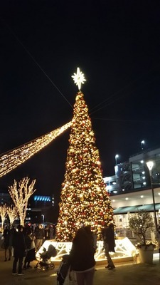 s-DSC_3191.jpg