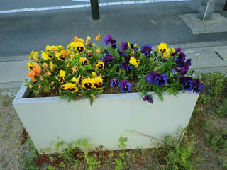 sCIMG1185.jpg