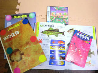 sCIMG1267.jpg