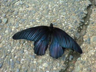 sCIMG1302.jpg
